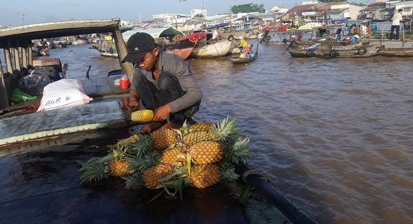 Vietnam Land Holiday Packages