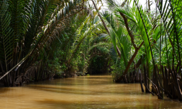 mekong delta tour