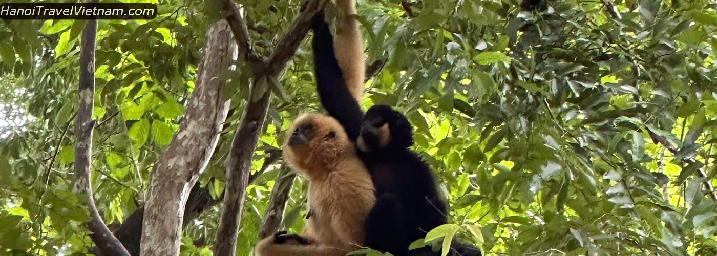 Vietnam Wildlife Tours Ho Chi Minh